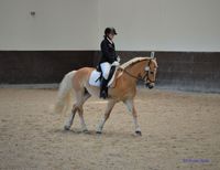 DSC_8839 (2)