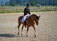 DSC_9009 (2)