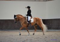 DSC_9032 (2)