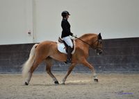 DSC_9065 (2)_2
