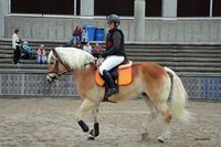 D_S_W_02 (36)