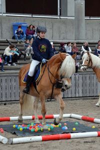 Nachwuchs_02 (17)
