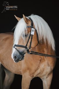 47271f03-931f-4fe7-87fd-30fff071c6ef